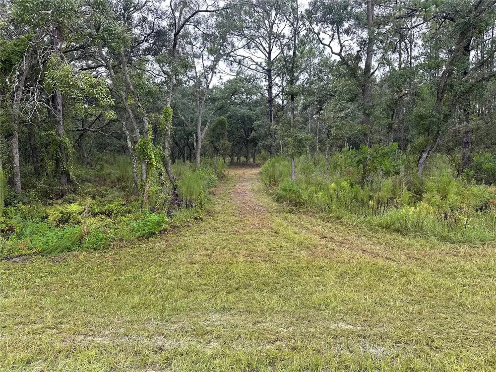 10361 THRASHER AVENUE Weeki Wachee, FL 34614