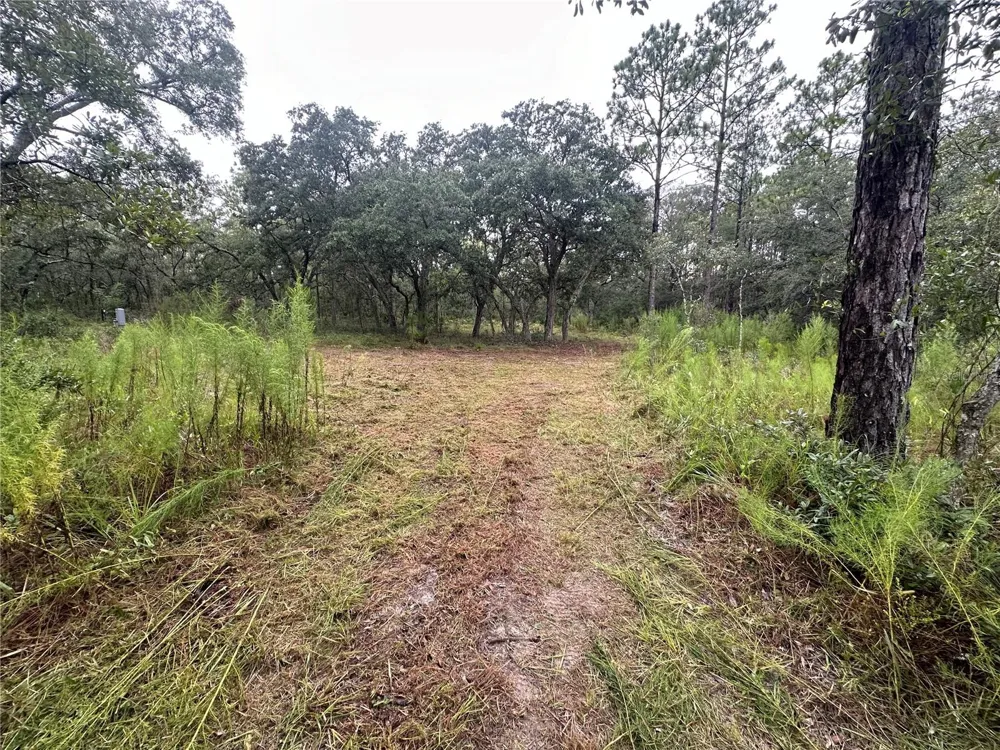 10361 THRASHER AVENUE Weeki Wachee, FL 34614