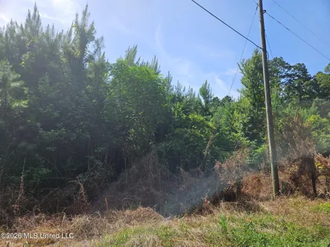 Log Cabin Road