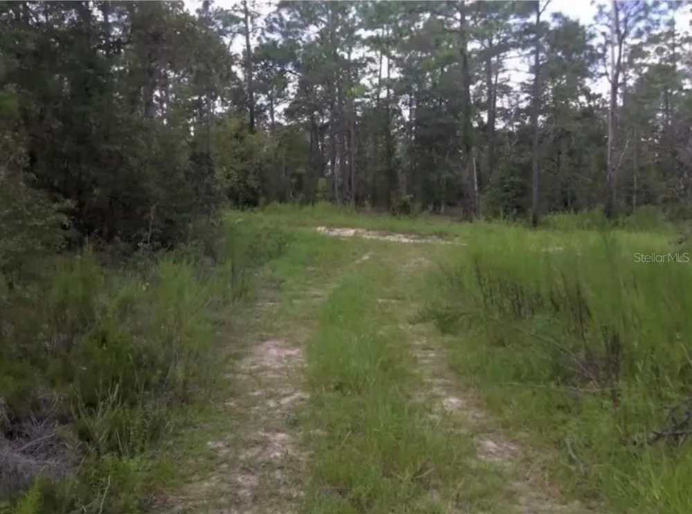 25TH PL LOT 16 SW 25TH PL ocala, FL 34481