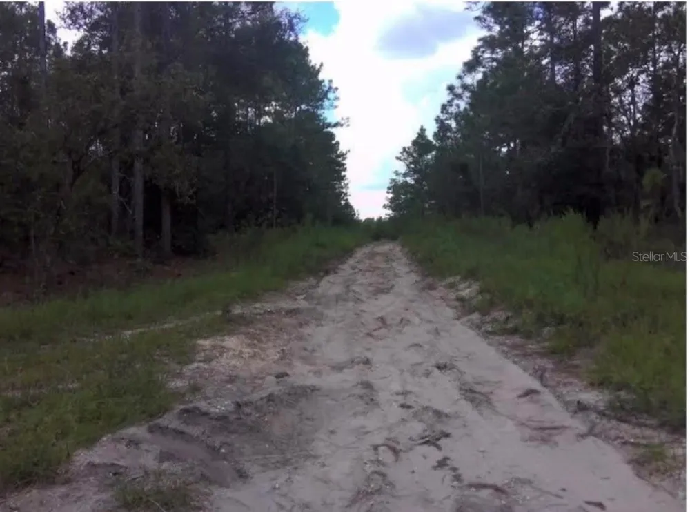 25TH PL LOT 16 SW 25TH PL ocala, FL 34481