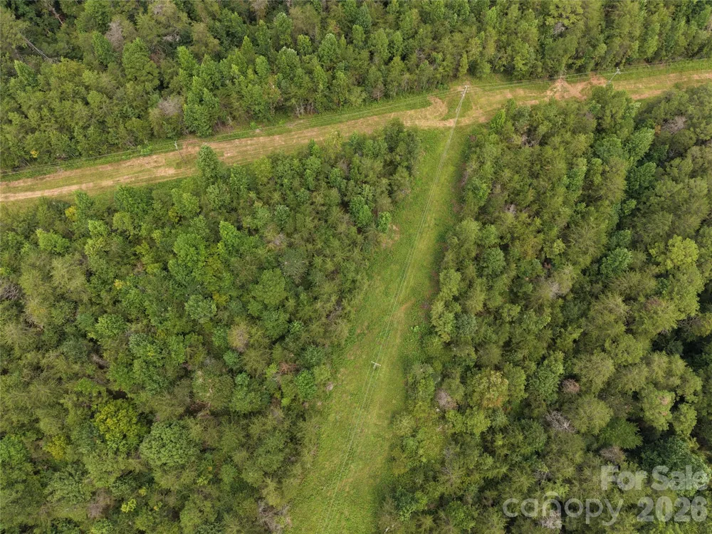 711 Pine cove Road Taylorsville, NC 28681