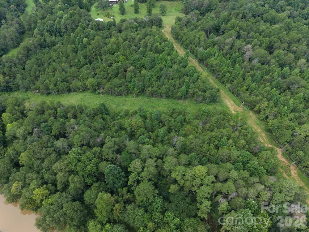 711 Pine cove Road Taylorsville, NC 28681