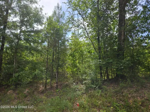 Log Cabin Rd Road