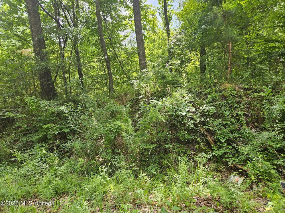 Log Cabin Rd Road Roxie, MS 39661