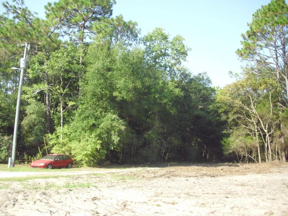 Lot 6 SW 23RD PLACE ocala, FL 34481