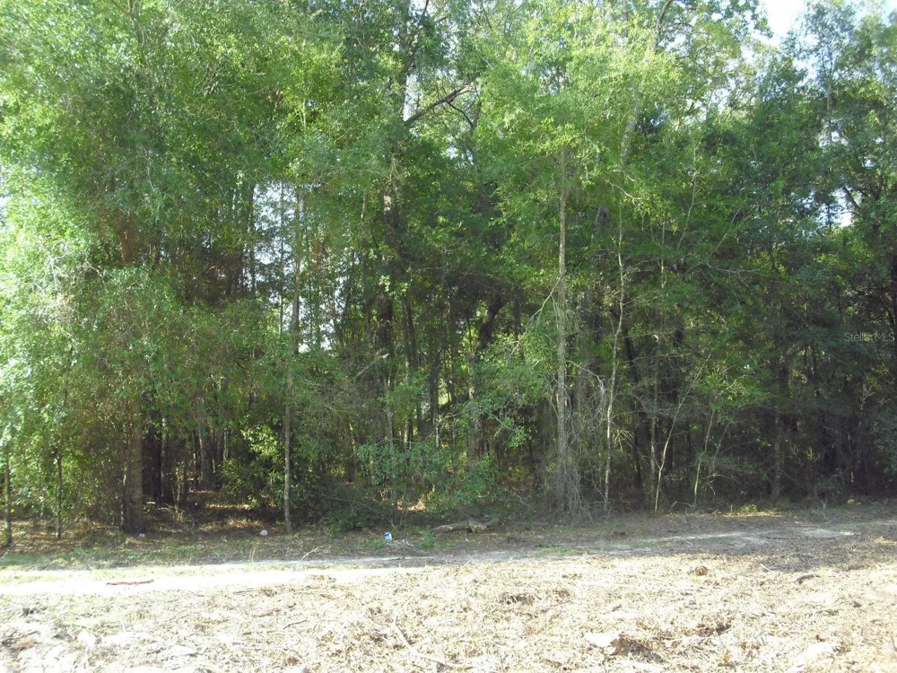 Lot 6 SW 23RD PLACE ocala, FL 34481