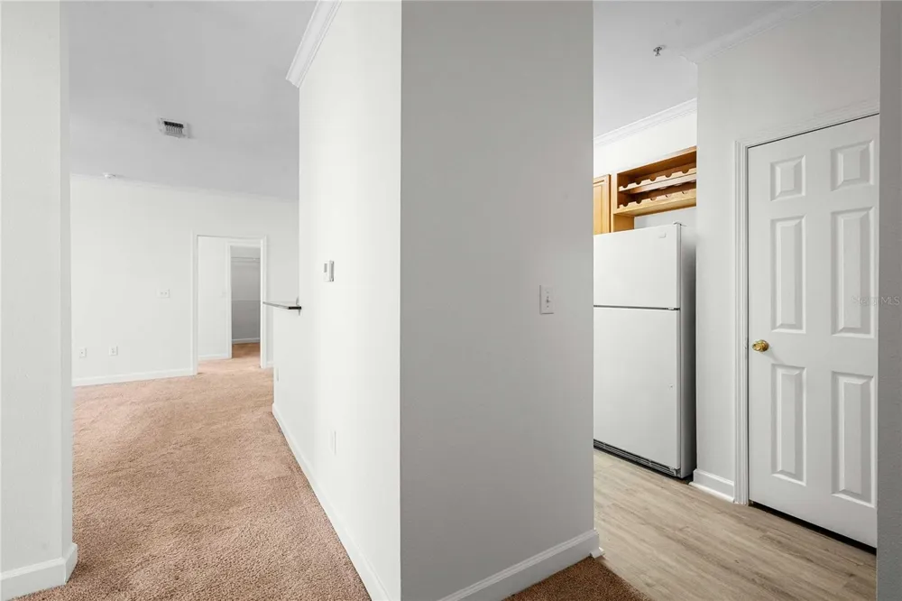 18525 BRIDLE CLUB DRIVE #18525 Tampa, FL 33647