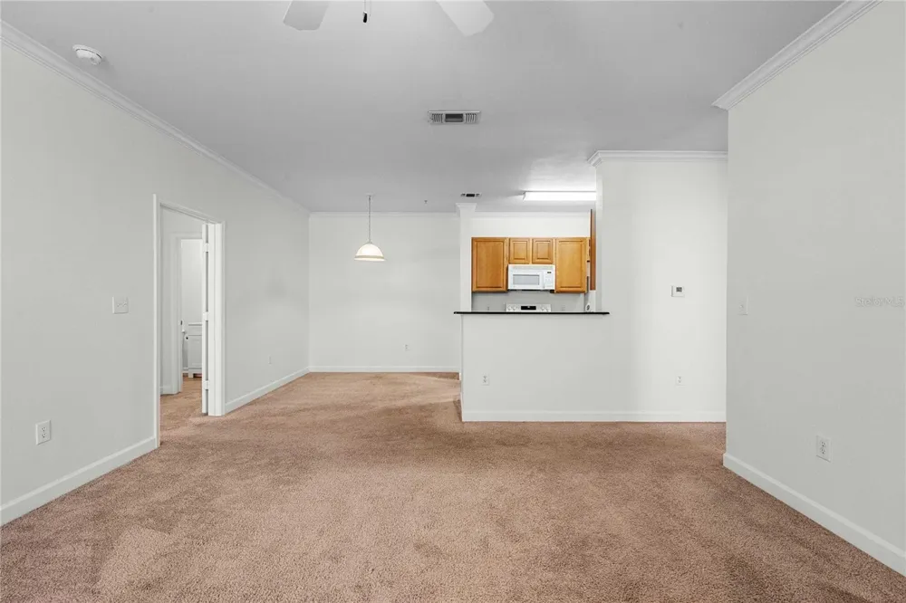 18525 BRIDLE CLUB DRIVE #18525 Tampa, FL 33647