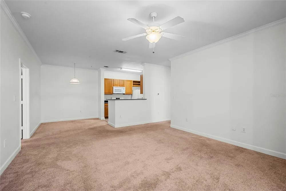 18525 BRIDLE CLUB DRIVE #18525 Tampa, FL 33647