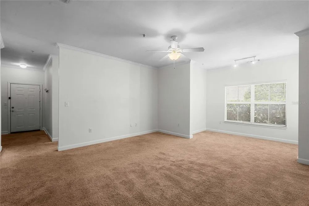 18525 BRIDLE CLUB DRIVE #18525 Tampa, FL 33647