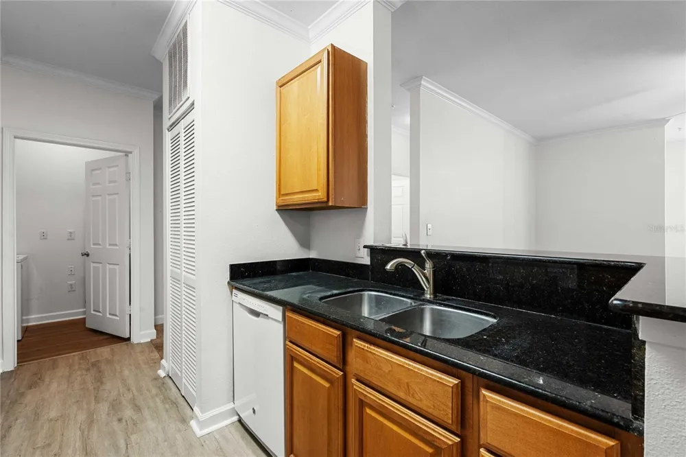 18525 BRIDLE CLUB DRIVE #18525 Tampa, FL 33647