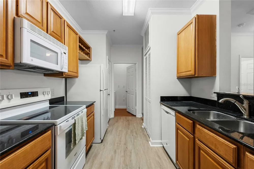 18525 BRIDLE CLUB DRIVE #18525 Tampa, FL 33647