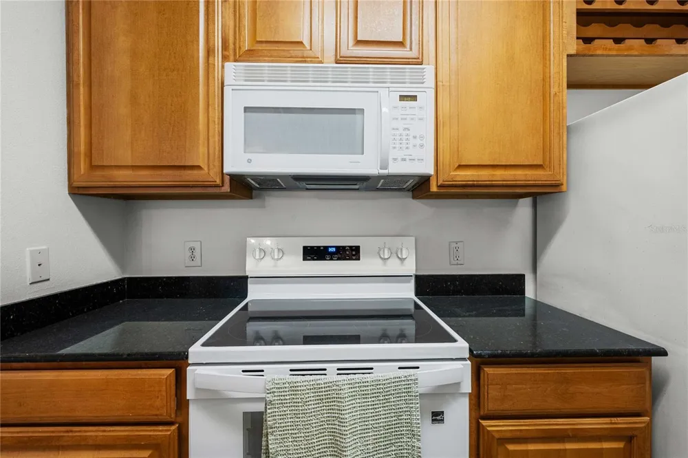 18525 BRIDLE CLUB DRIVE #18525 Tampa, FL 33647
