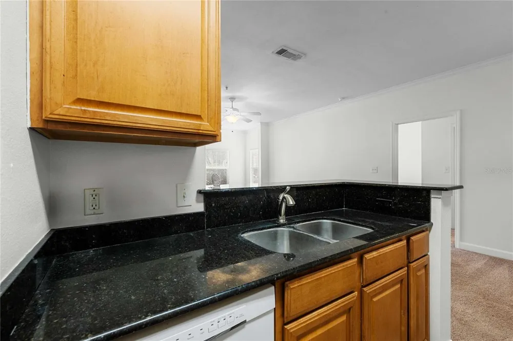 18525 BRIDLE CLUB DRIVE #18525 Tampa, FL 33647
