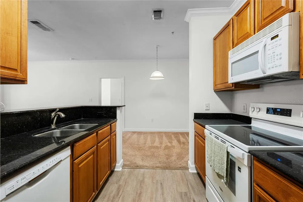 18525 BRIDLE CLUB DRIVE #18525 Tampa, FL 33647