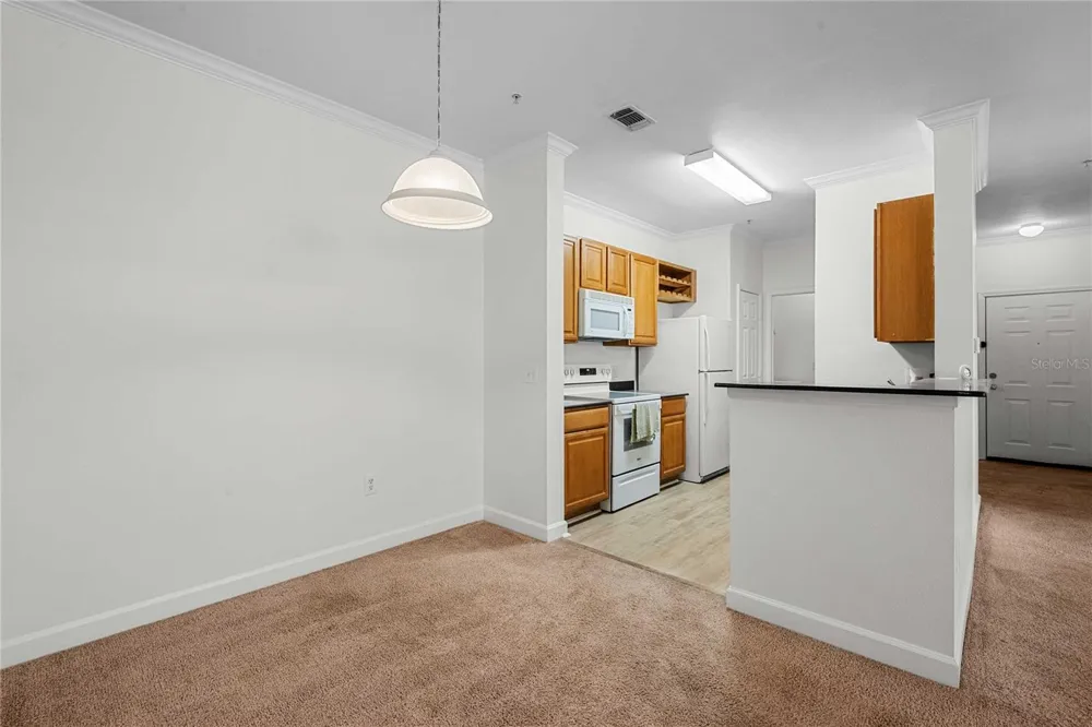 18525 BRIDLE CLUB DRIVE #18525 Tampa, FL 33647