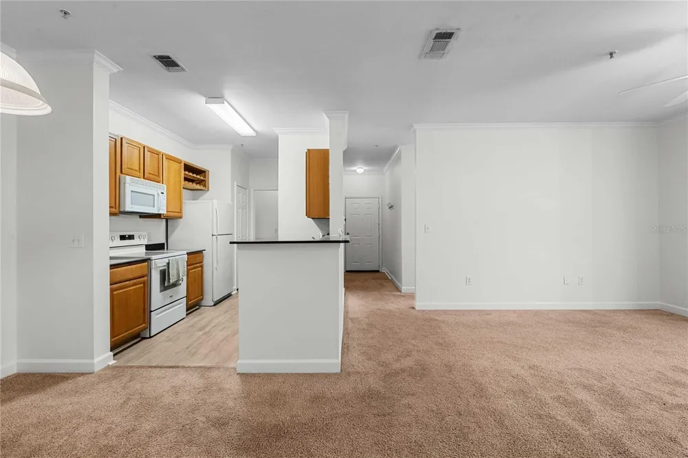 18525 BRIDLE CLUB DRIVE #18525 Tampa, FL 33647