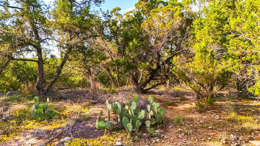2171 Stagecoach Way Canyon Lake, TX 78133