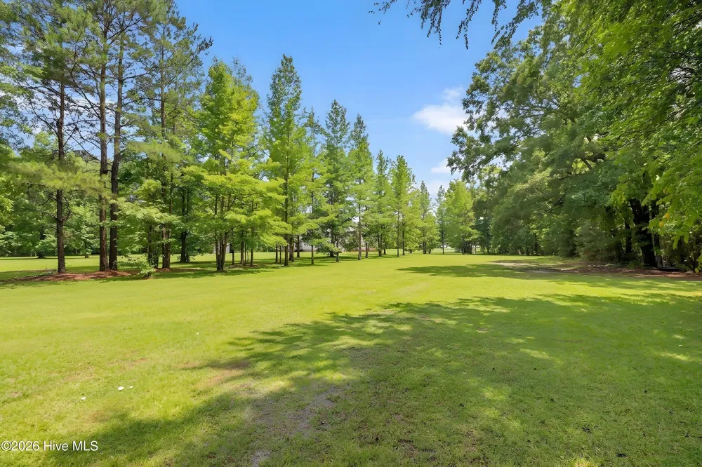 205 Carrie Drive Archer Lodge, NC 27527