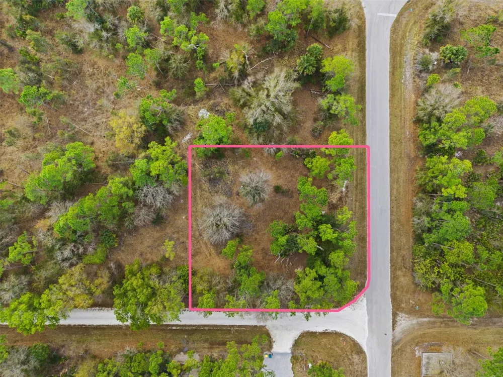 13484 MICHILIN AVENUE Punta Gorda, FL 33955