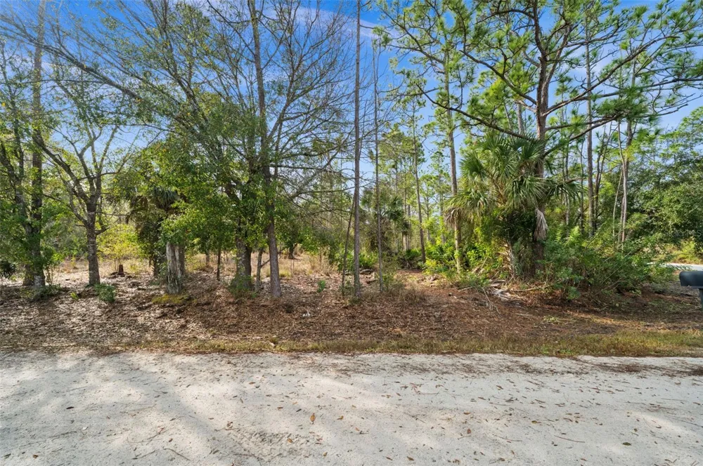 13484 MICHILIN AVENUE Punta Gorda, FL 33955
