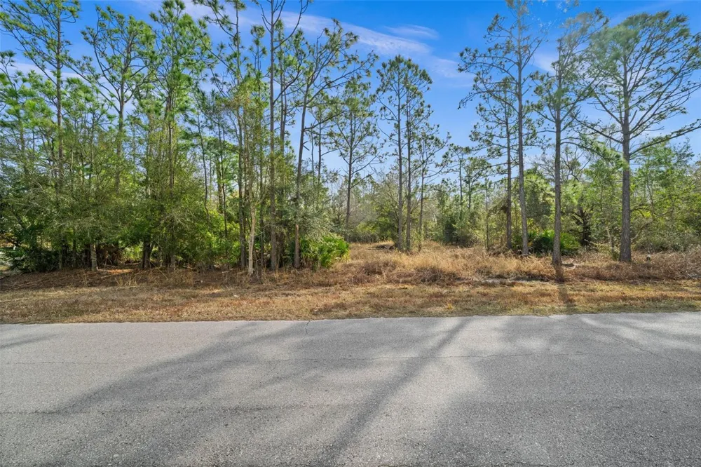 13484 MICHILIN AVENUE Punta Gorda, FL 33955