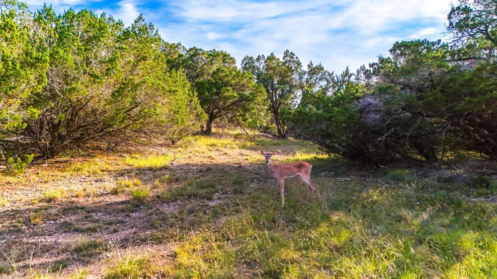 2163 Stagecoach Way Canyon Lake, TX 78133