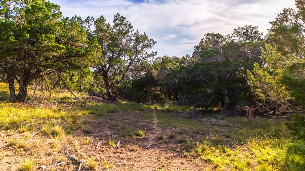 2163 Stagecoach Way Canyon Lake, TX 78133