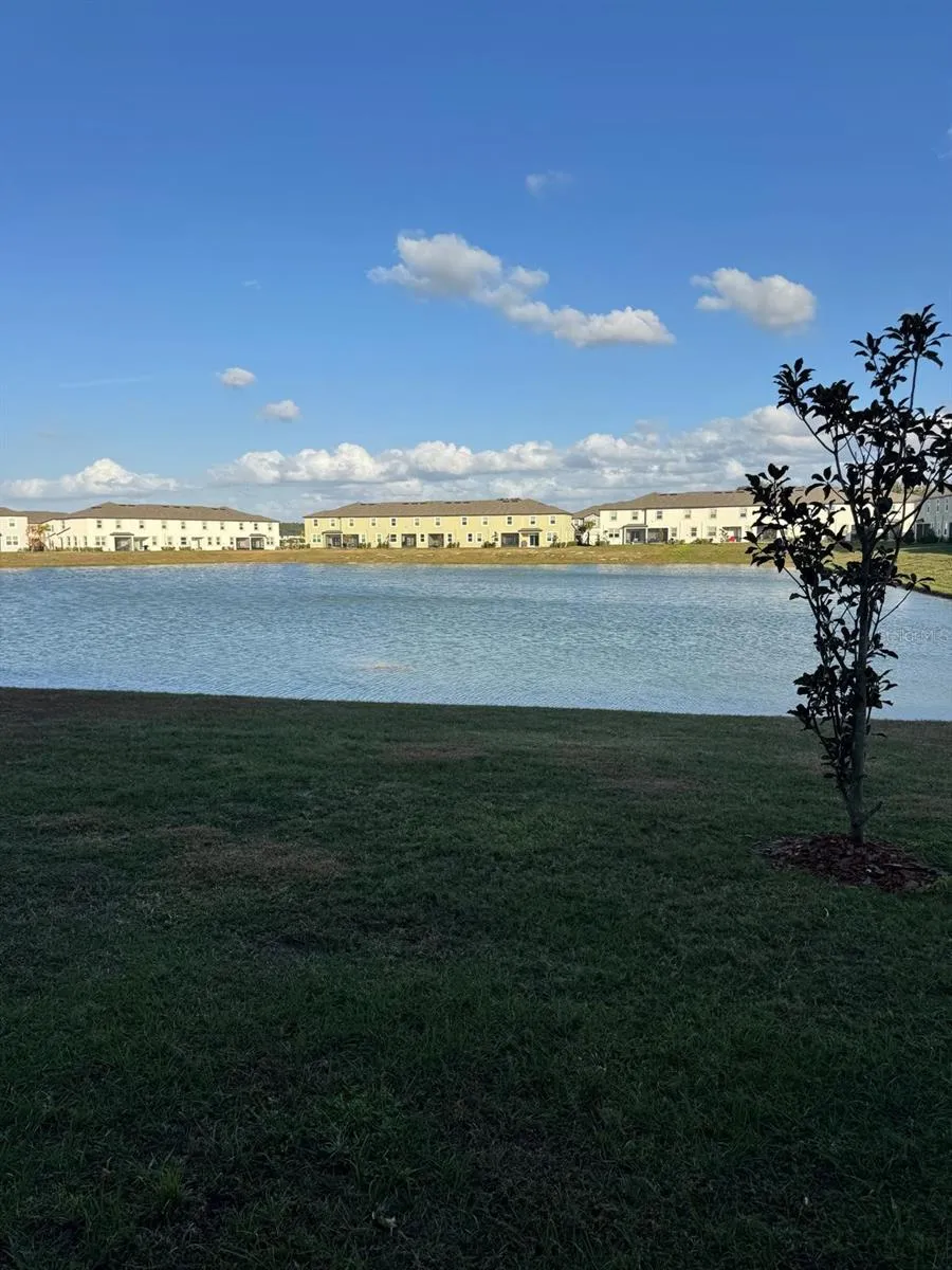 10308 LAVENDER ASTER TRAIL San Antonio, FL 33576