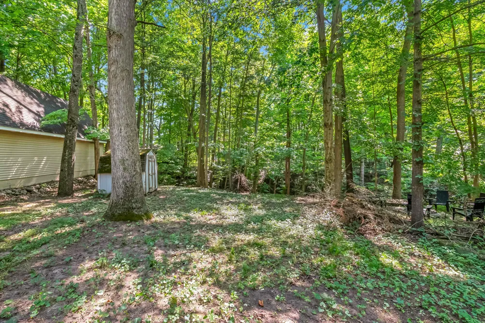 3558 Majestic Court Cambria Township, MI 49242