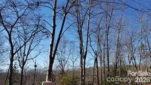 TBD Galax Lane #G-11 Brevard, NC 28712