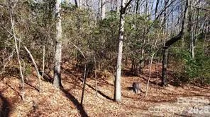 TBD Galax Lane #G-11 Brevard, NC 28712