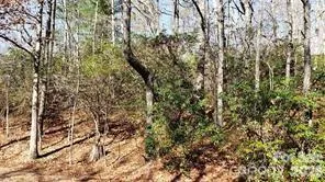 TBD Galax Lane #G-11 Brevard, NC 28712