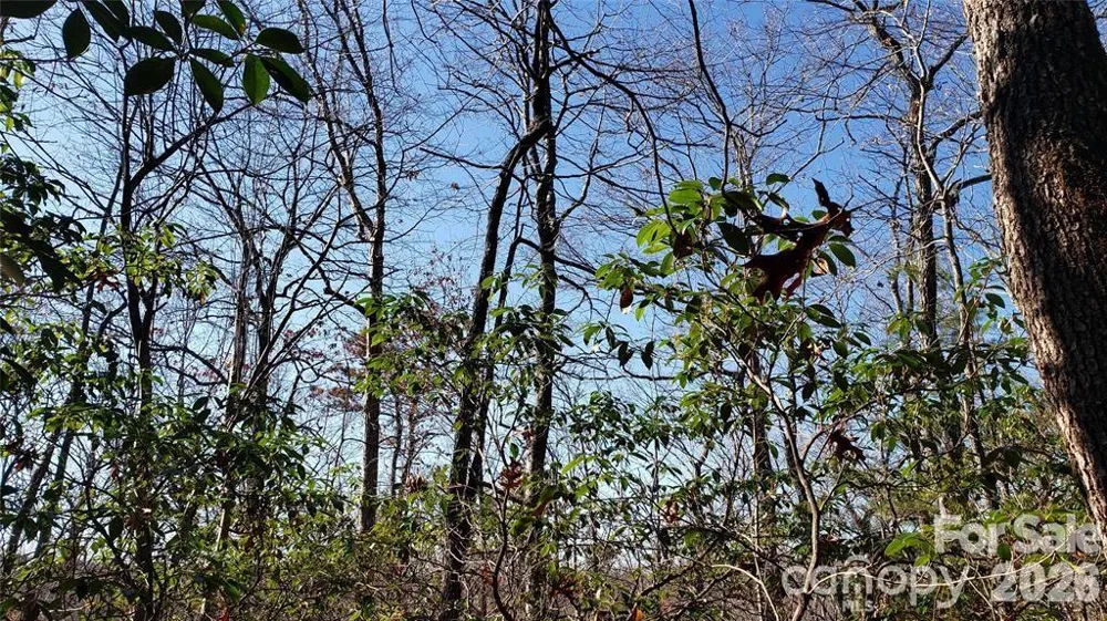 TBD Galax Lane #G-11 Brevard, NC 28712