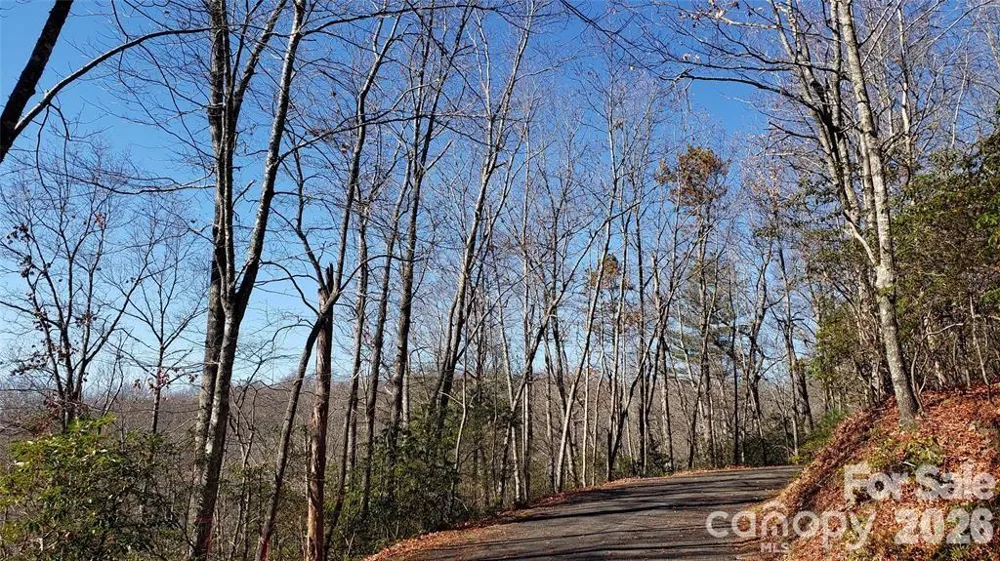 TBD Galax Lane #G-11 Brevard, NC 28712