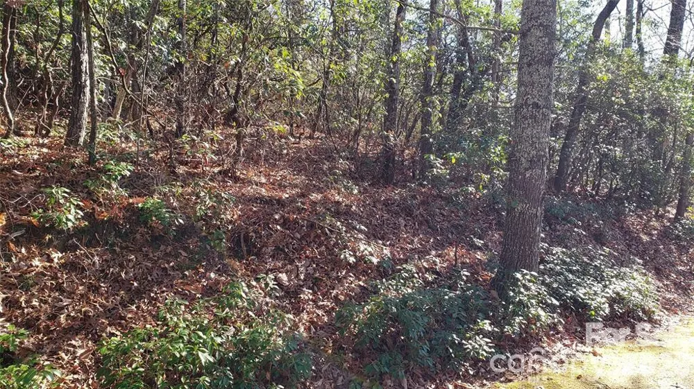 TBD Galax Lane #G-11 Brevard, NC 28712