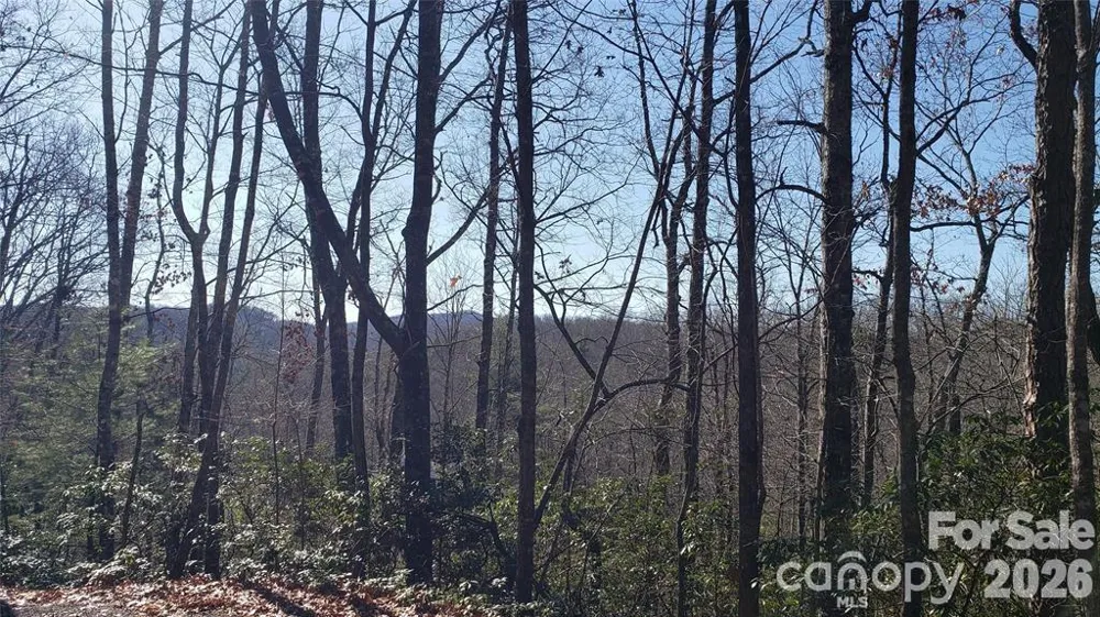 TBD Galax Lane #G-11 Brevard, NC 28712