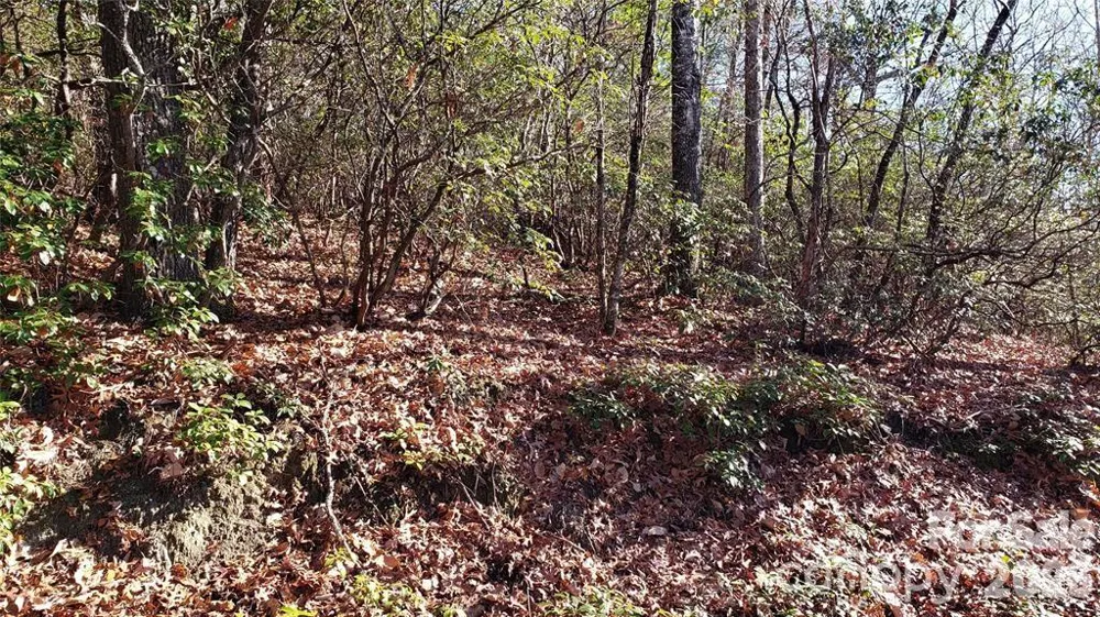 TBD Galax Lane #G-11 Brevard, NC 28712