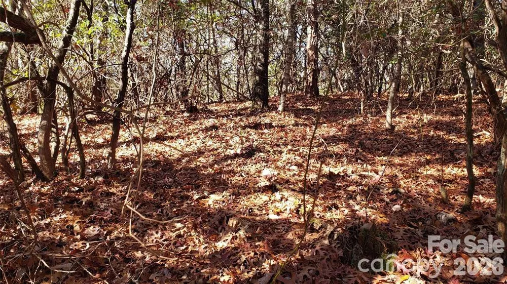TBD Galax Lane #G-11 Brevard, NC 28712