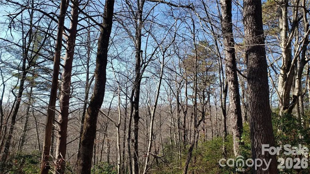 TBD Galax Lane #G-11 Brevard, NC 28712
