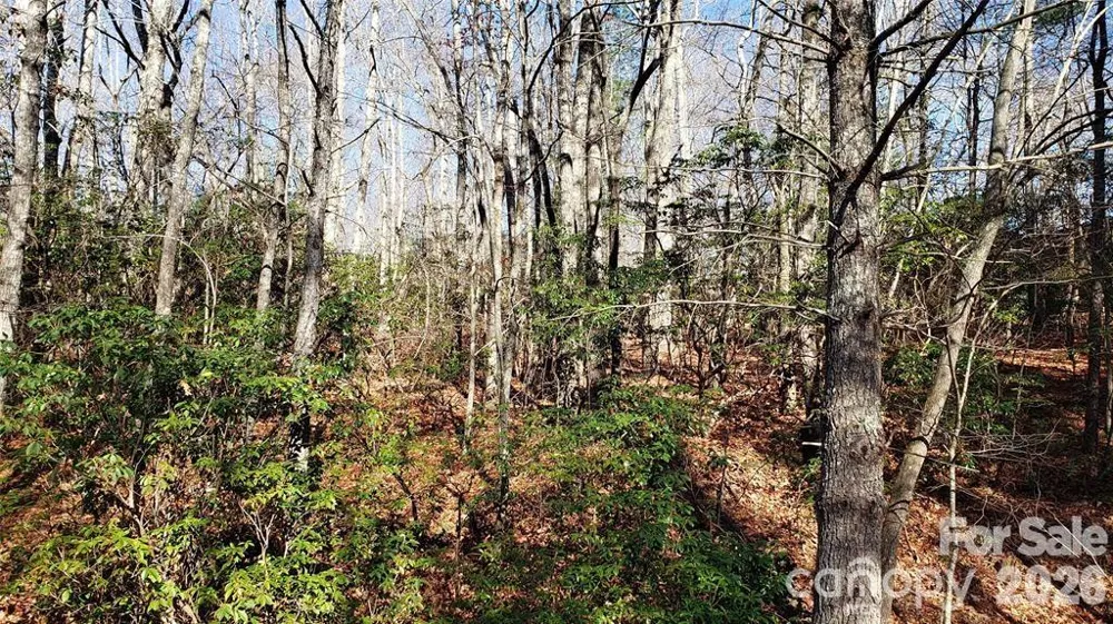 TBD Galax Lane #G-11 Brevard, NC 28712