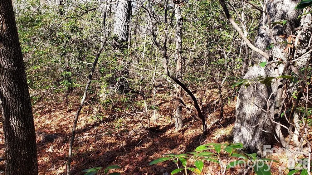 TBD Galax Lane #G-11 Brevard, NC 28712