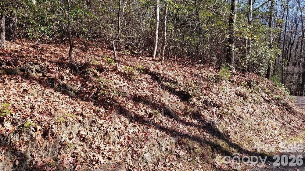 TBD Galax Lane #G-11 Brevard, NC 28712