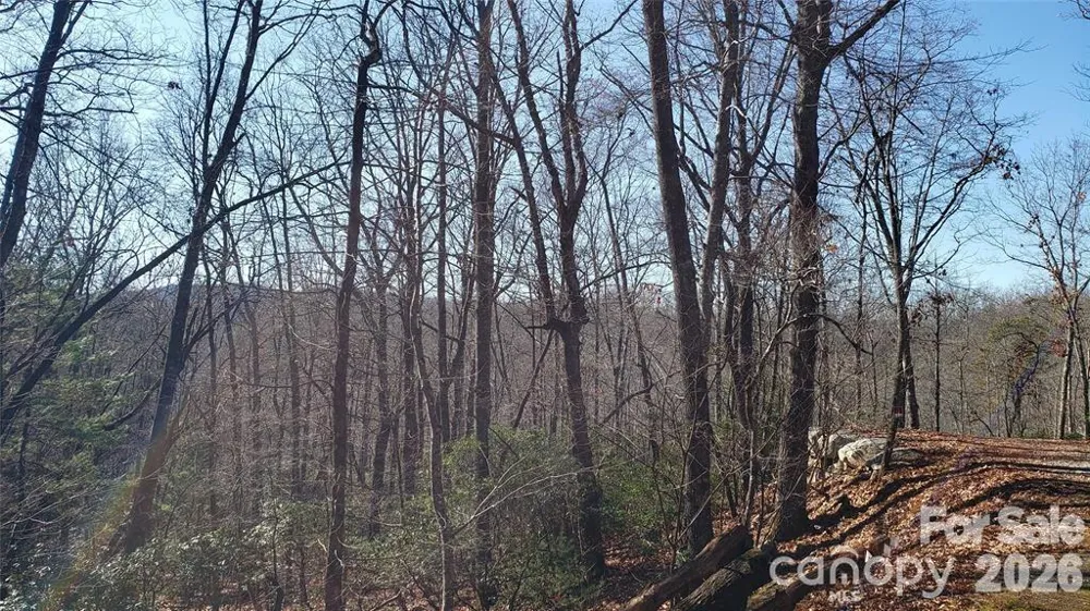 TBD Galax Lane #G-11 Brevard, NC 28712