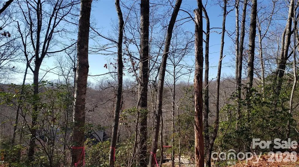 TBD Galax Lane #G-11 Brevard, NC 28712