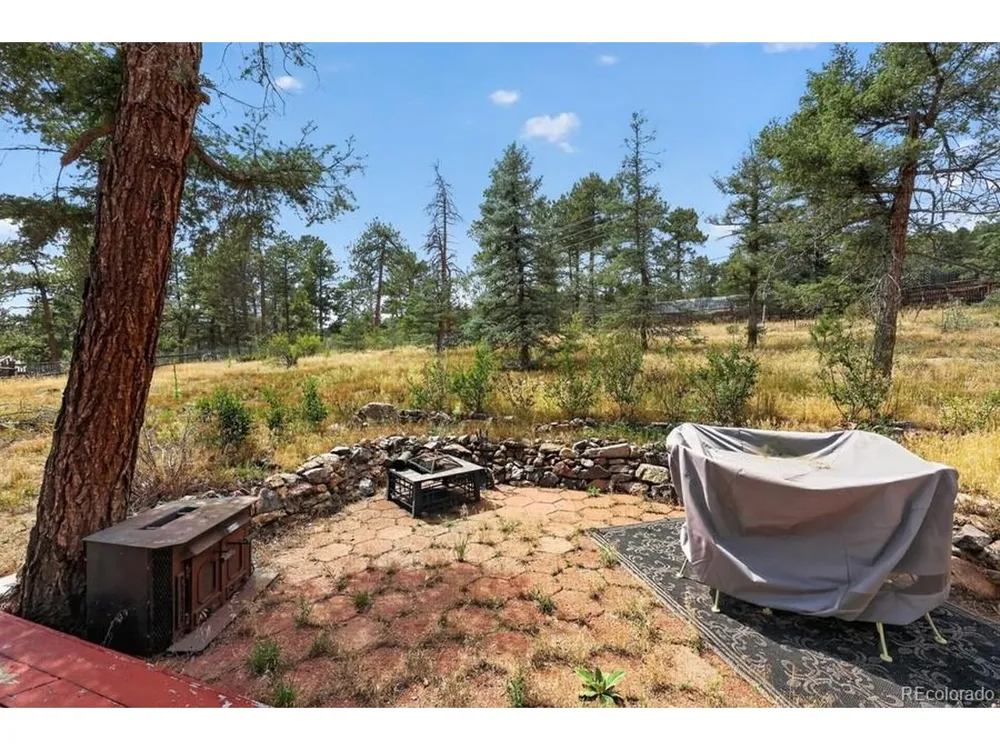 27231 Log Trail Conifer, CO 80433