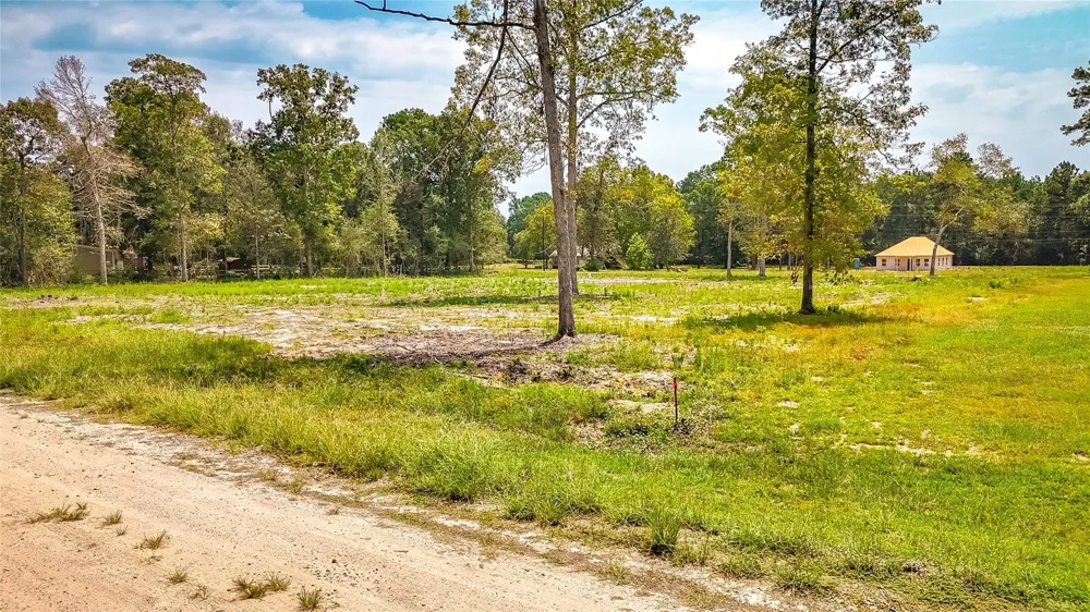66 Thousand Oaks Livingston, TX 77351
