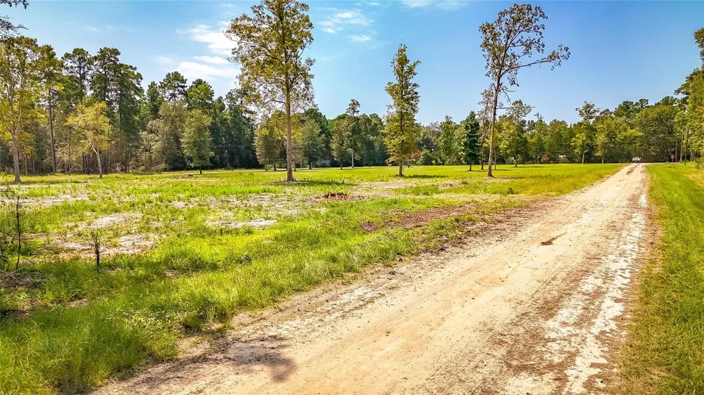 66 Thousand Oaks Livingston, TX 77351