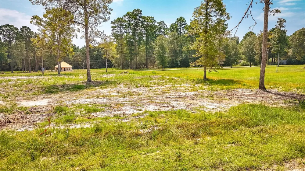 66 Thousand Oaks Livingston, TX 77351